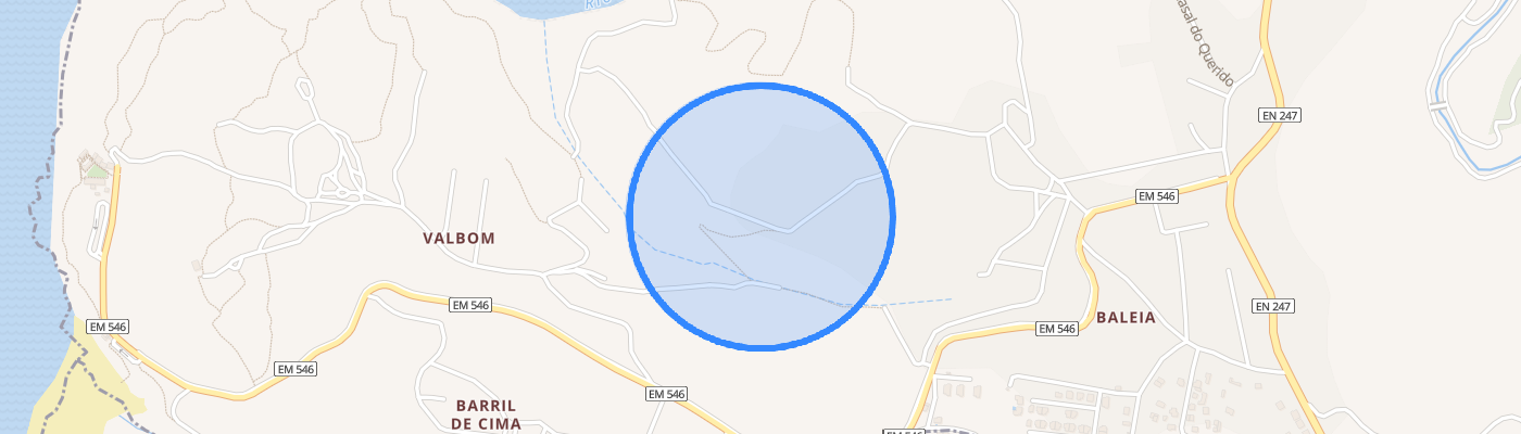 listing-map-picture