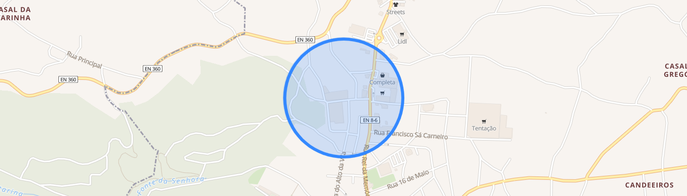 listing-map-picture
