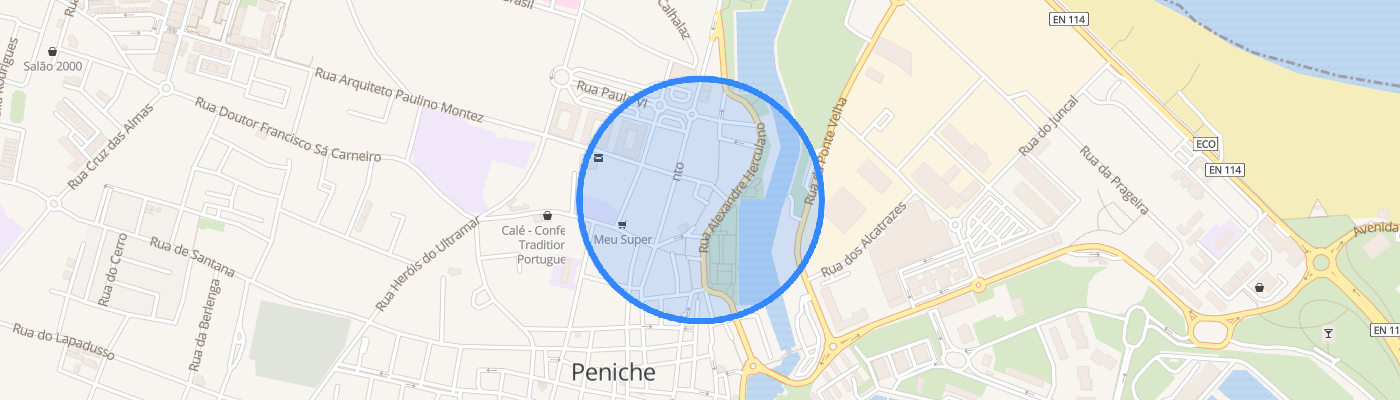listing-map-picture