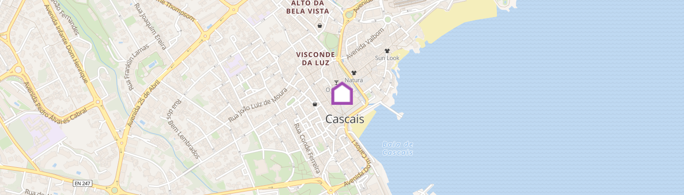 listing-map-picture