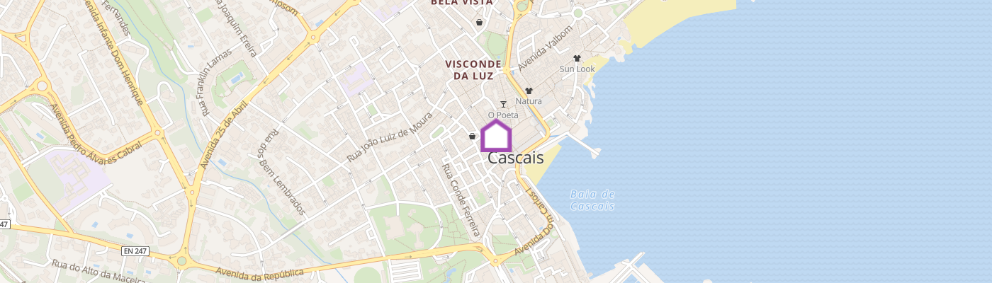 listing-map-picture