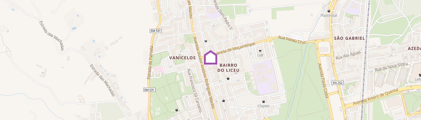 listing-map-picture