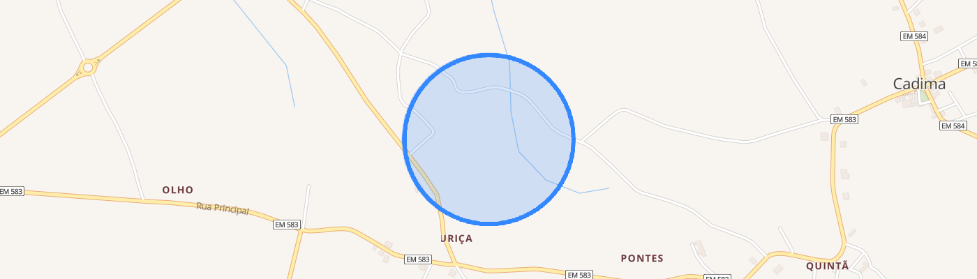 listing-map-picture