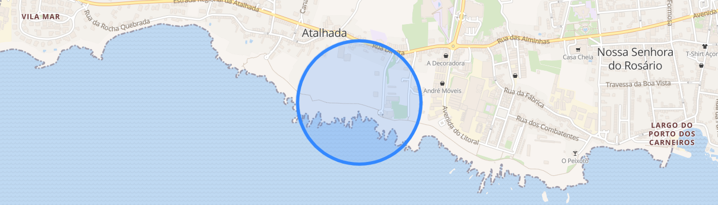 listing-map-picture