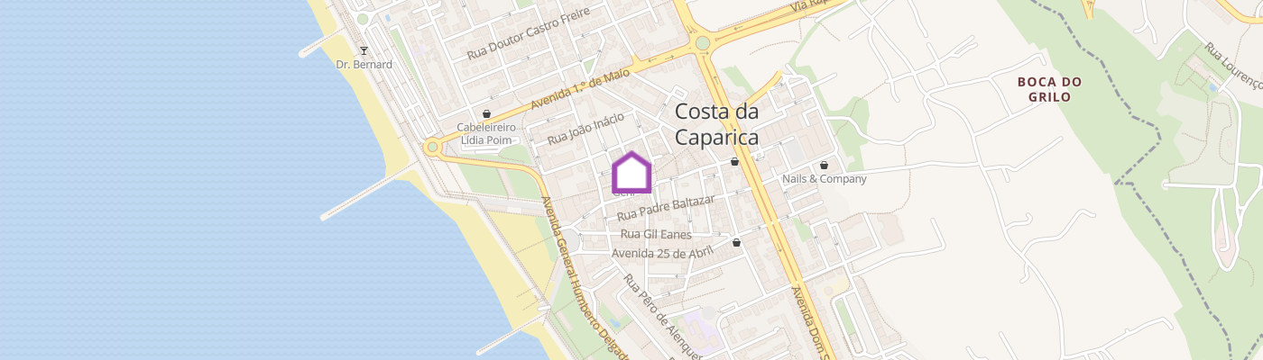 listing-map-picture