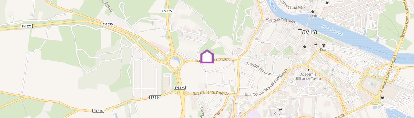 listing-map-picture