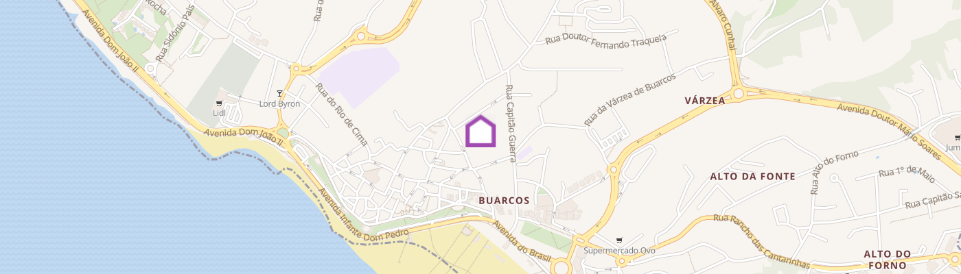 listing-map-picture