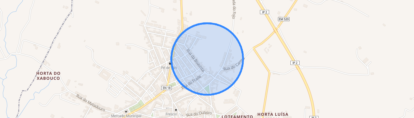 listing-map-picture