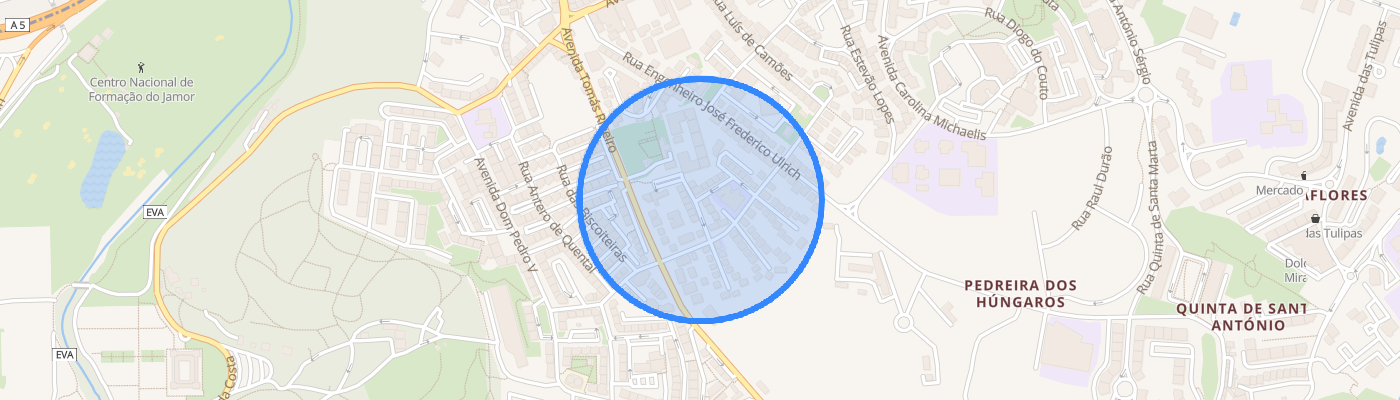 listing-map-picture