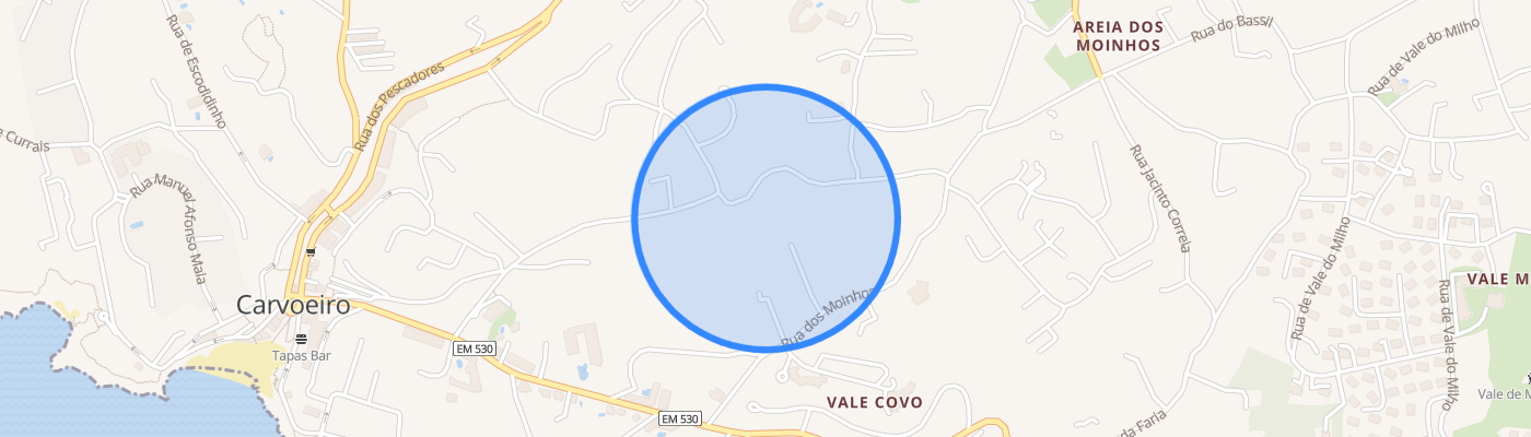 listing-map-picture