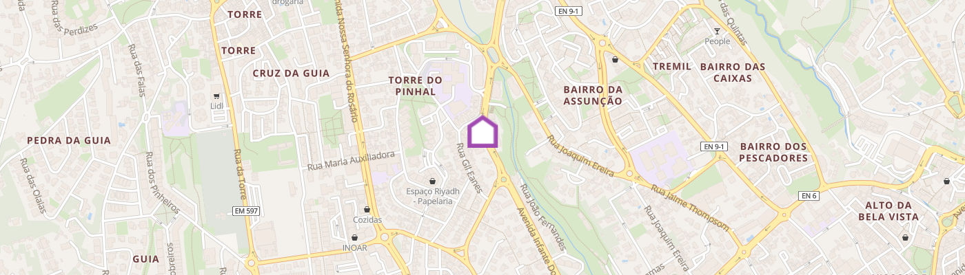 listing-map-picture