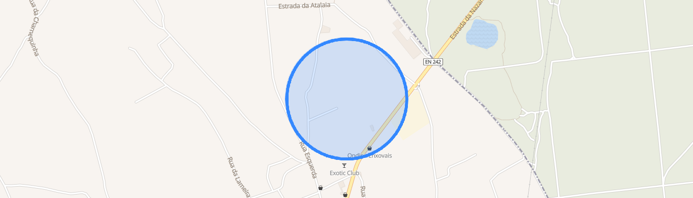 listing-map-picture