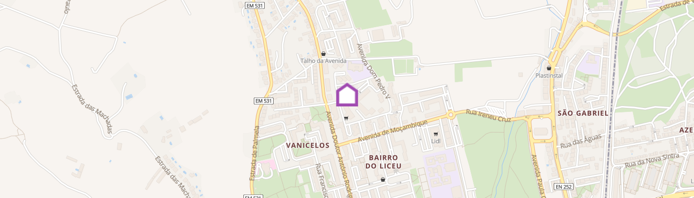 listing-map-picture
