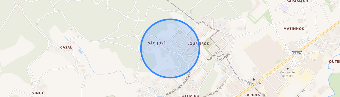 listing-map-picture
