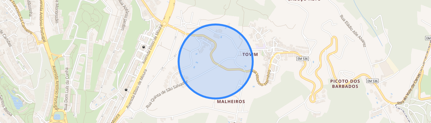 listing-map-picture