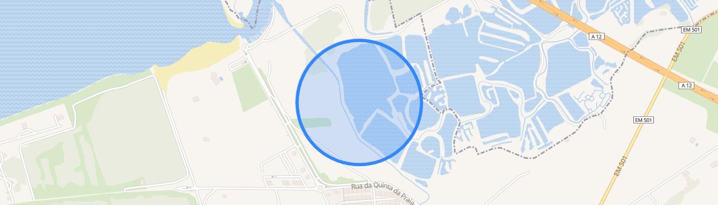 listing-map-picture