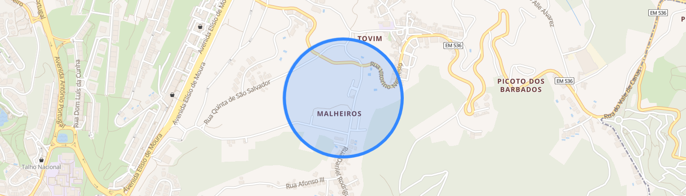 listing-map-picture
