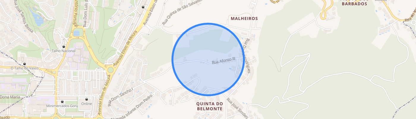 listing-map-picture