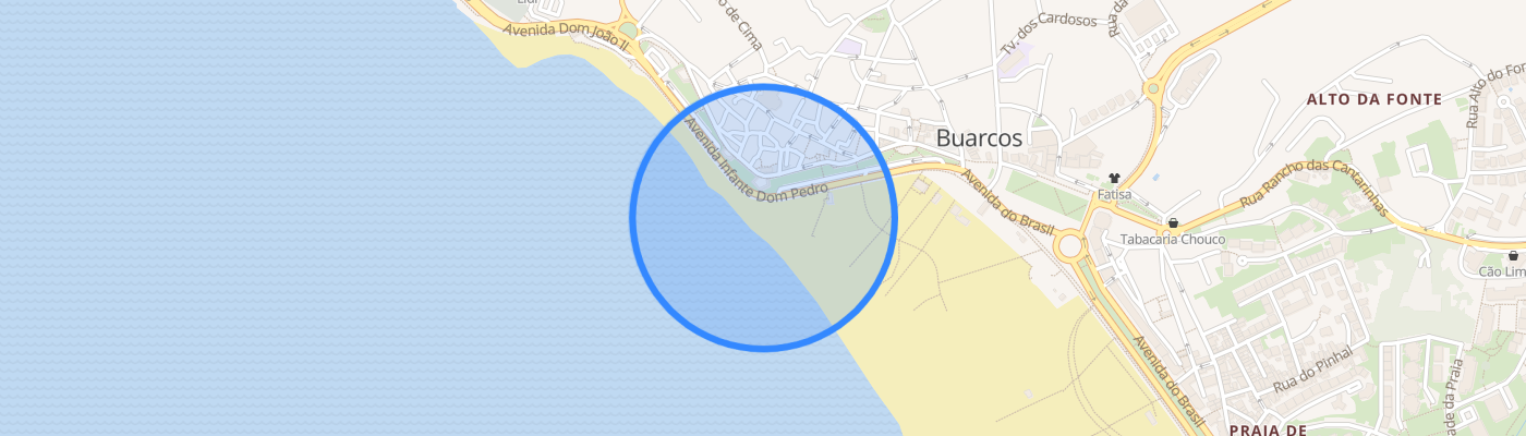listing-map-picture