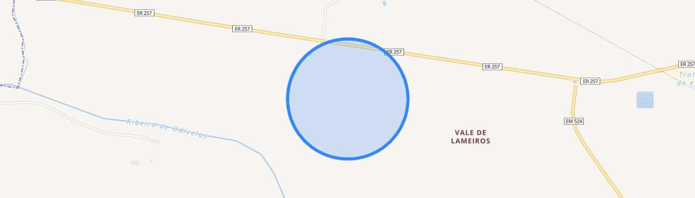 listing-map-picture