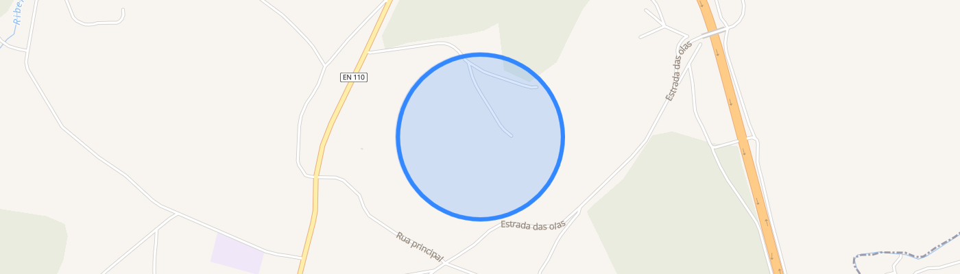 listing-map-picture