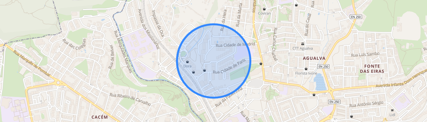 listing-map-picture
