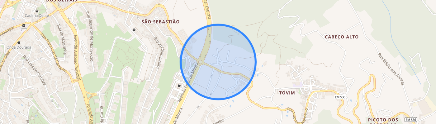 listing-map-picture