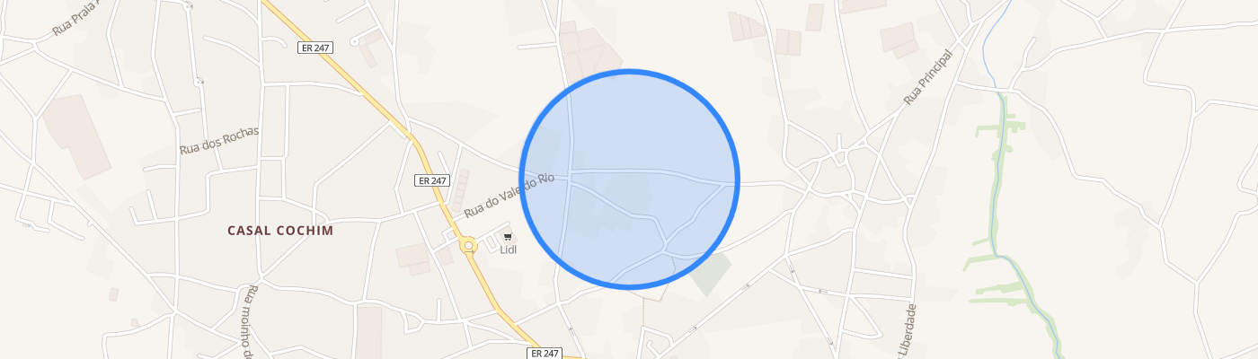 listing-map-picture