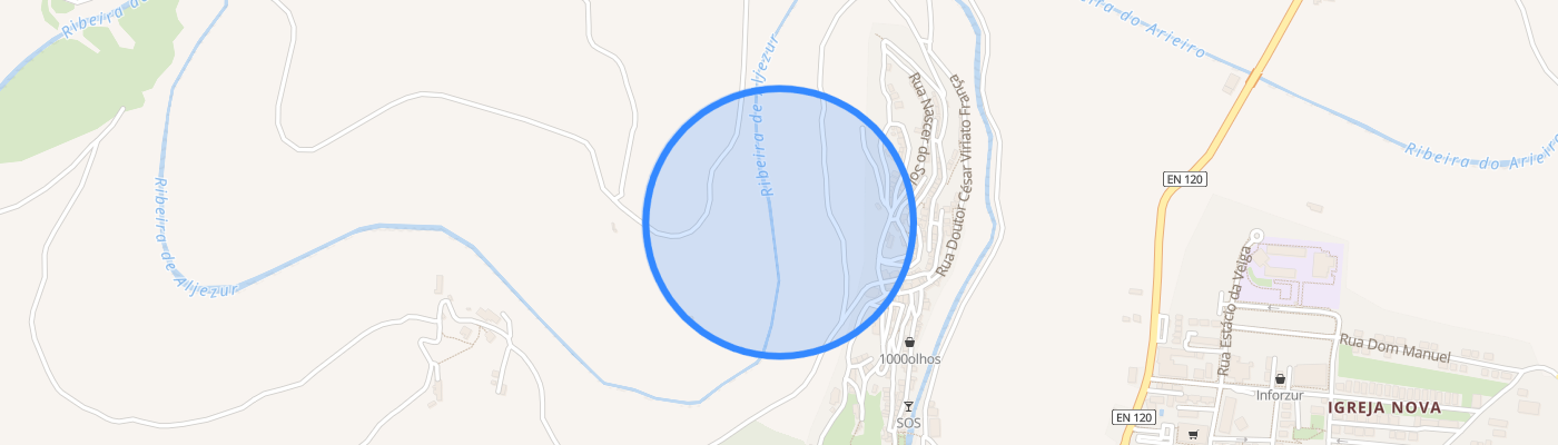 listing-map-picture