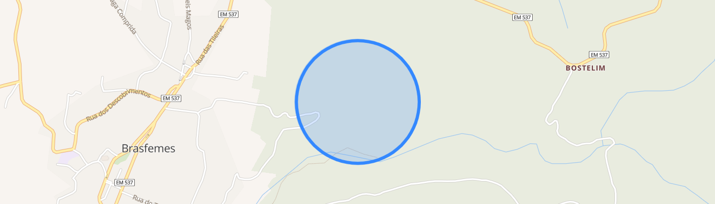 listing-map-picture