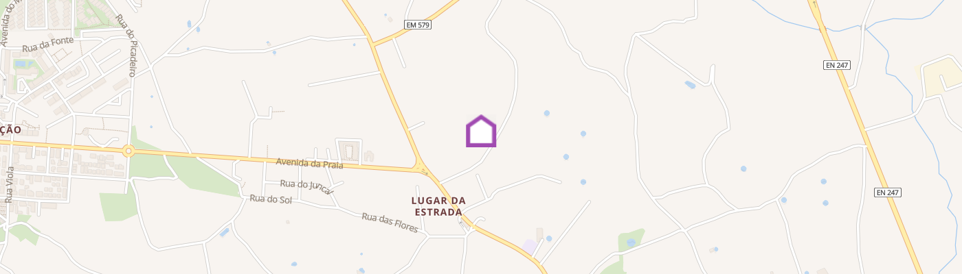 listing-map-picture