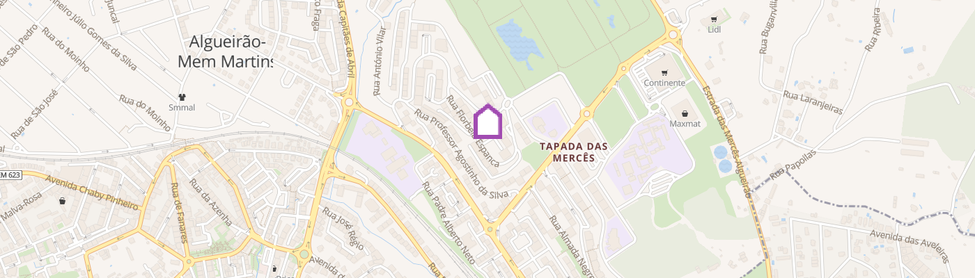 listing-map-picture