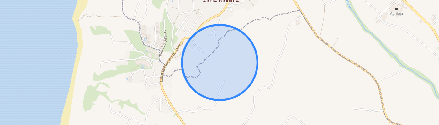 listing-map-picture