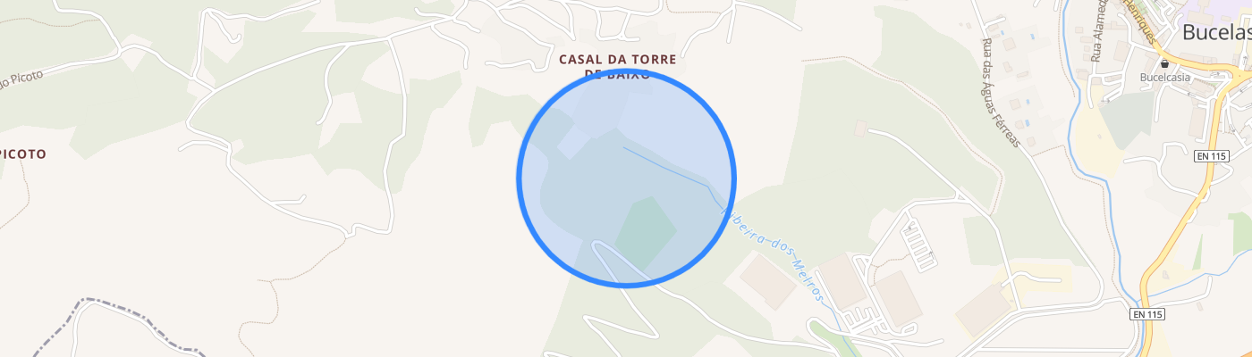listing-map-picture