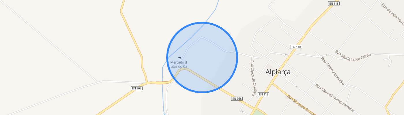 listing-map-picture