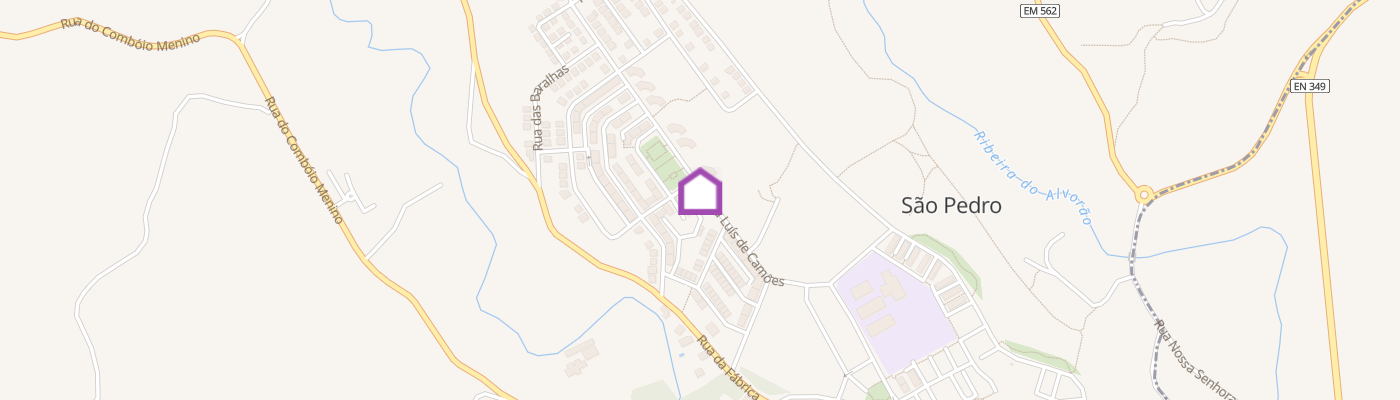 listing-map-picture