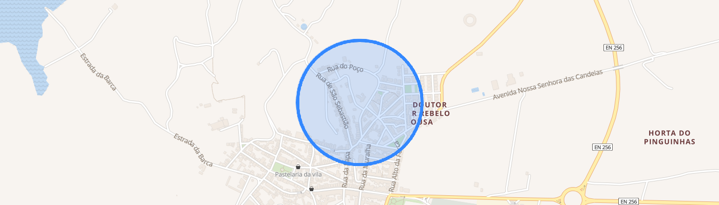 listing-map-picture