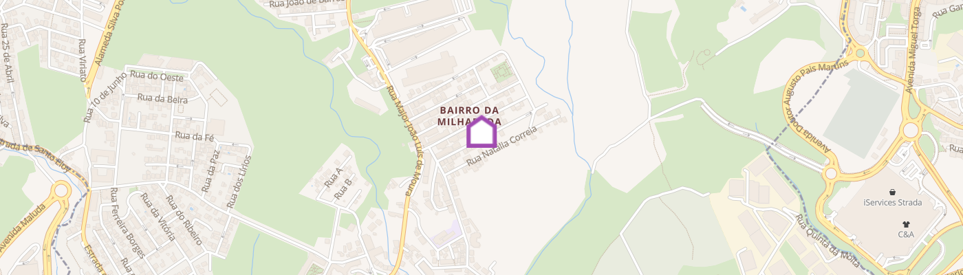 listing-map-picture