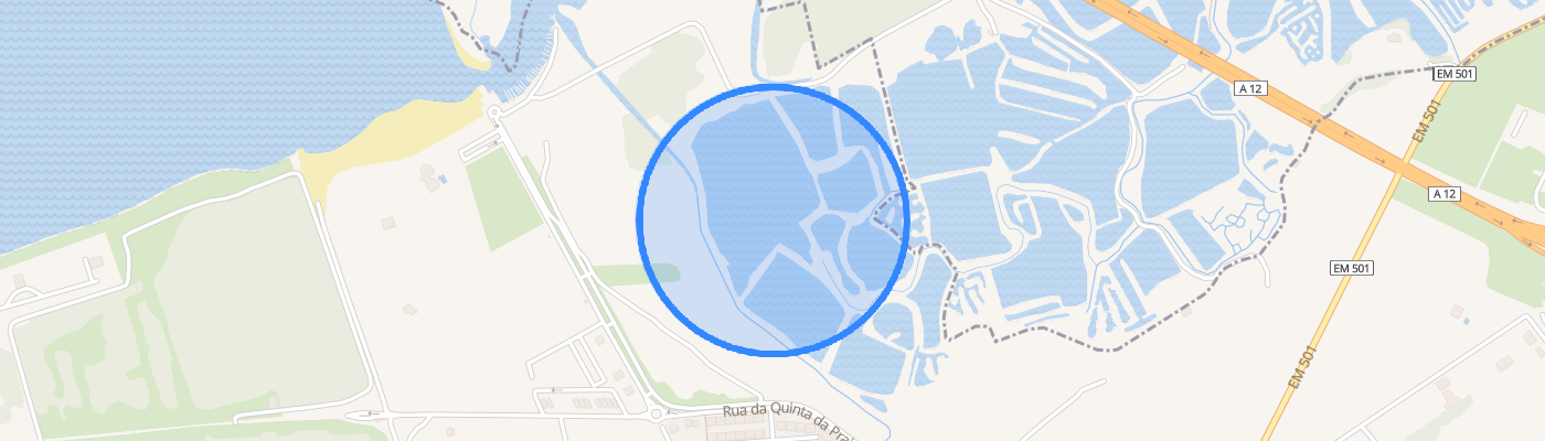 listing-map-picture