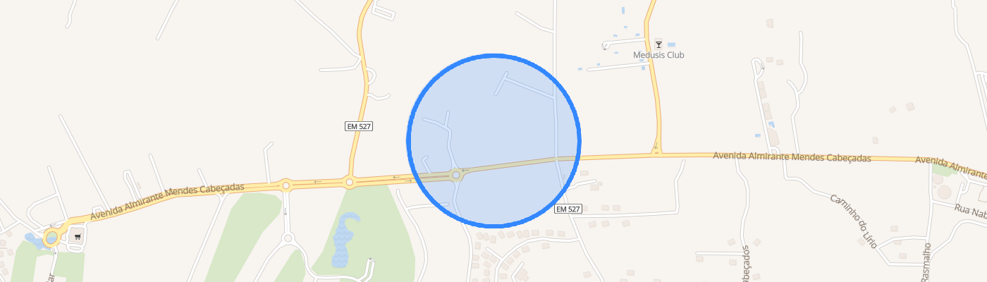 listing-map-picture