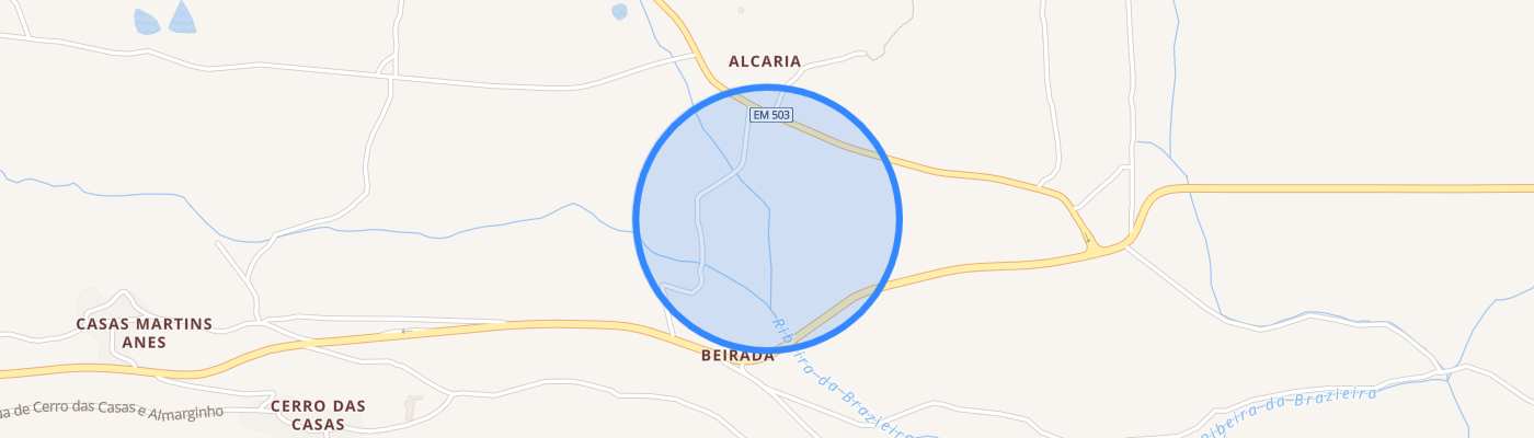 listing-map-picture