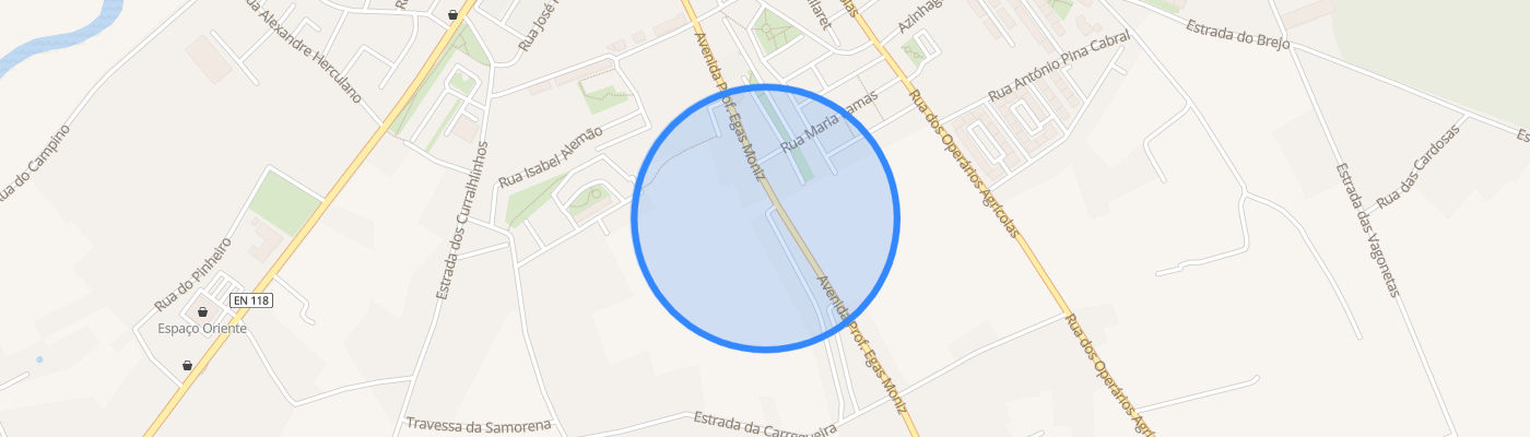 listing-map-picture