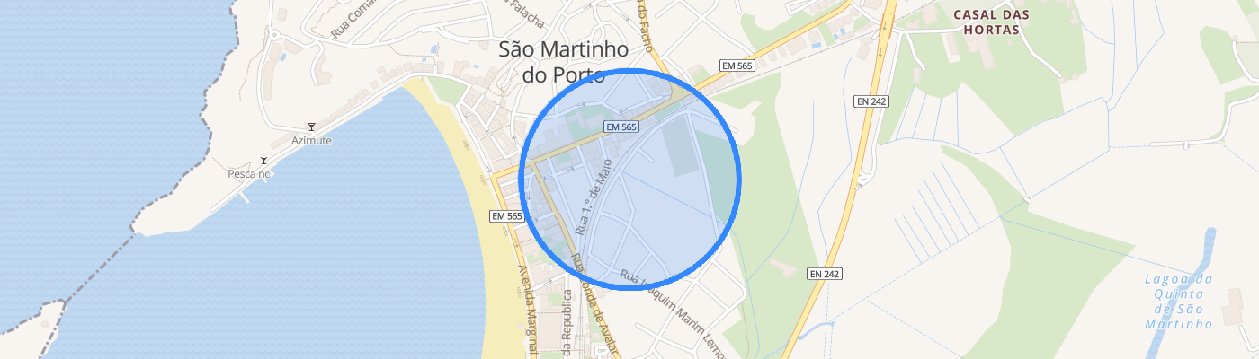 listing-map-picture