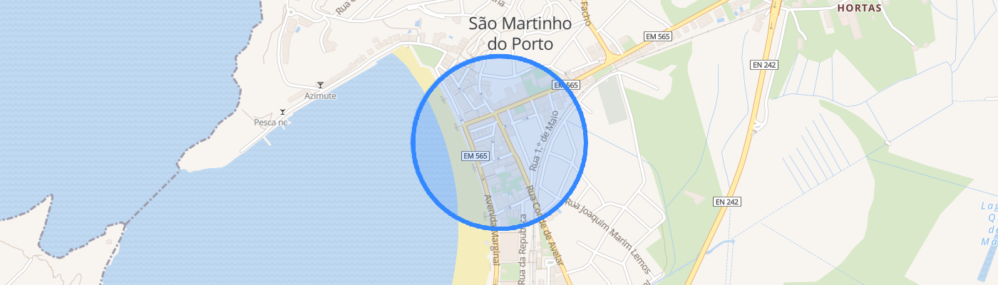 listing-map-picture