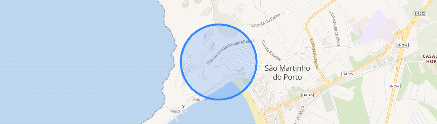 listing-map-picture
