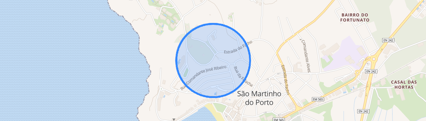listing-map-picture