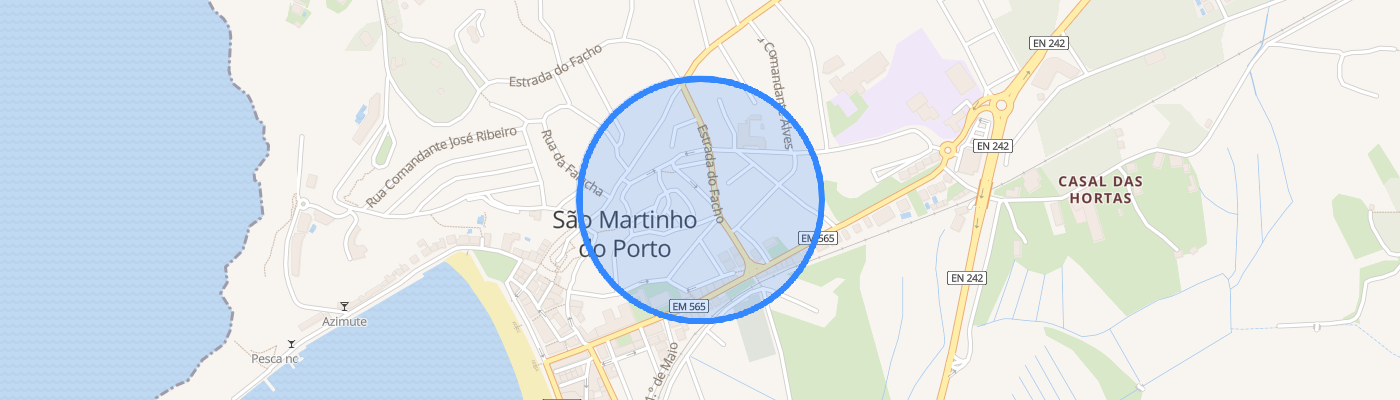 listing-map-picture