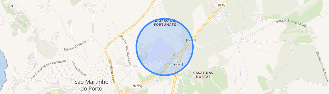 listing-map-picture