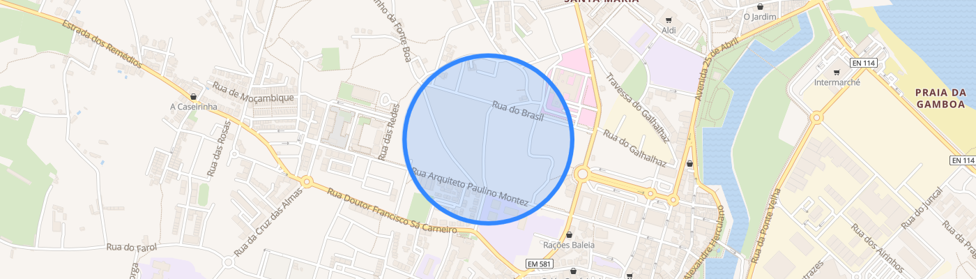 listing-map-picture