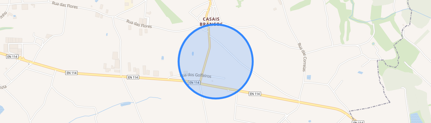 listing-map-picture